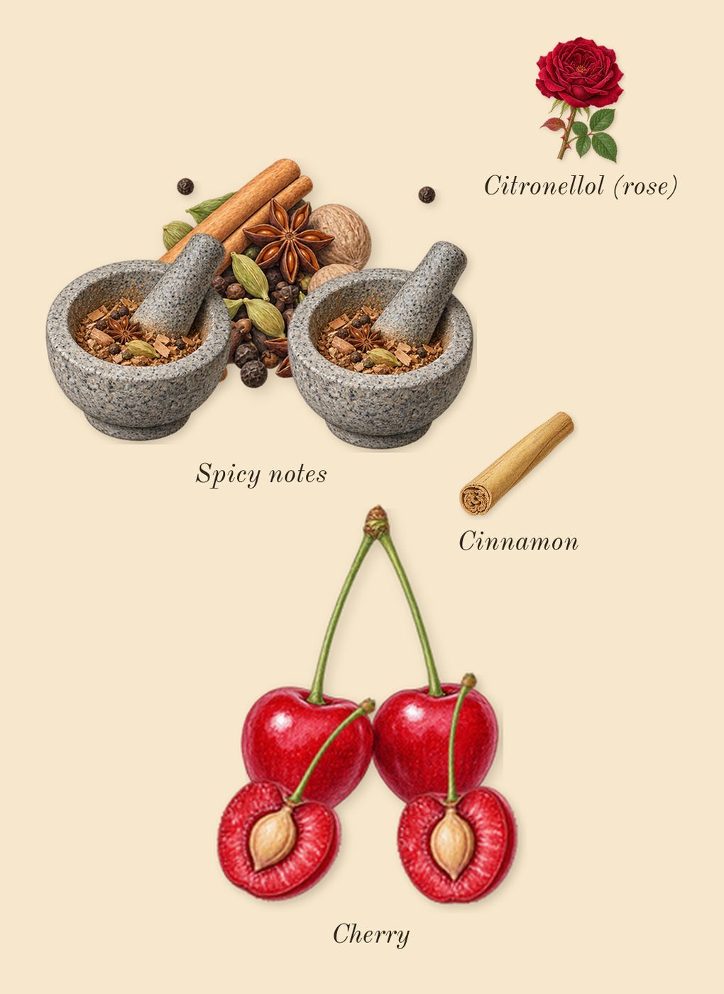 Stronger With You Powerfully, heart: Cherry, Spicy notes, Cinnamon, Citronellol (rose)