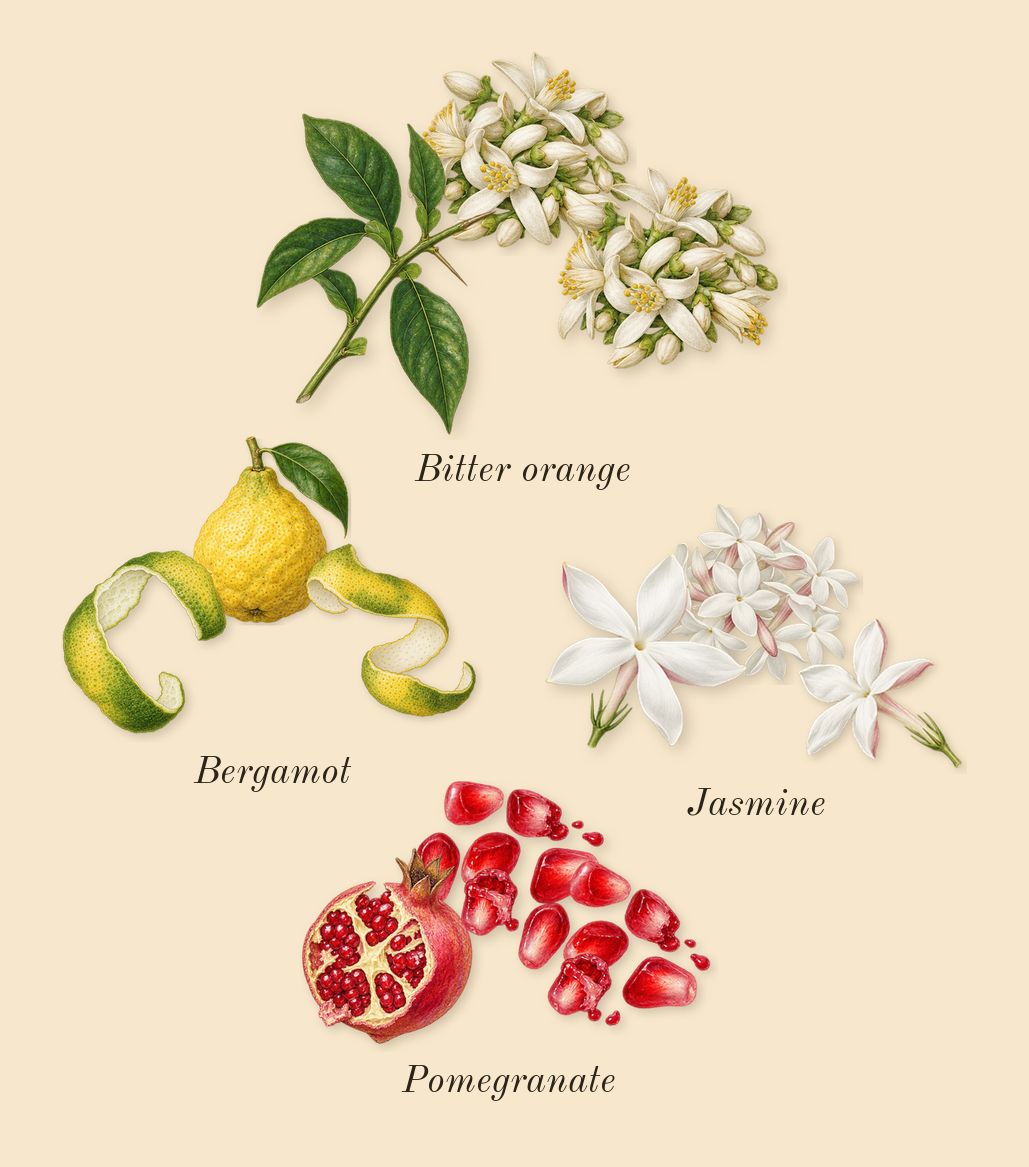 L'Or de Louis, top notes: Bitter orange, Pomegranate, Bergamot, Jasmine