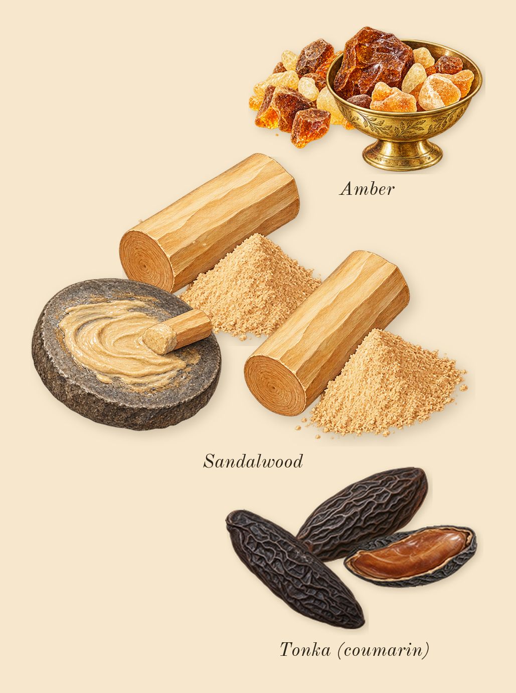 Ameerat Al Arab Prive Rose, dry-down: Tonka (coumarin), Amber, Sandalwood