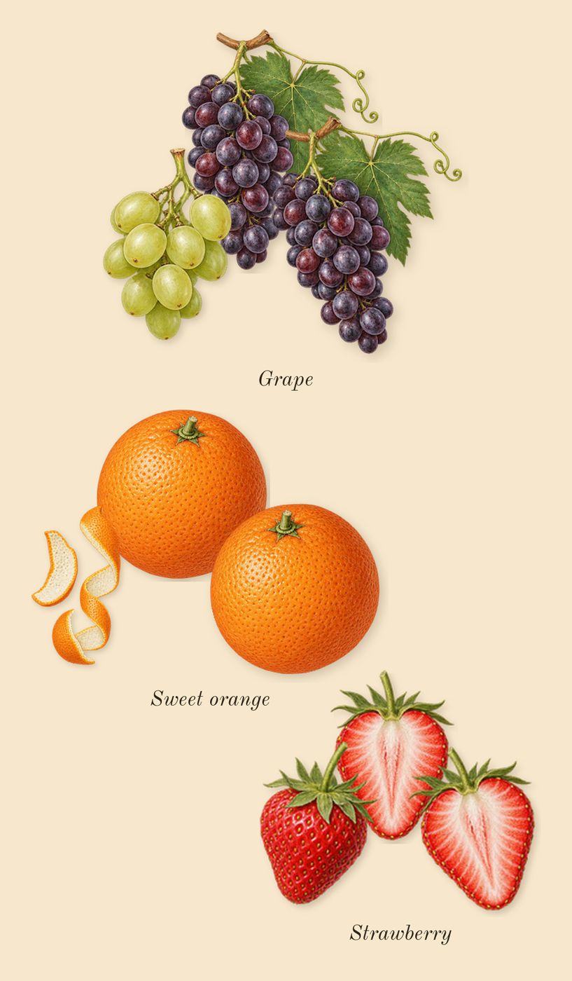 Ameerat Al Arab Prive Rose, top notes: Strawberry, Grape, Sweet orange