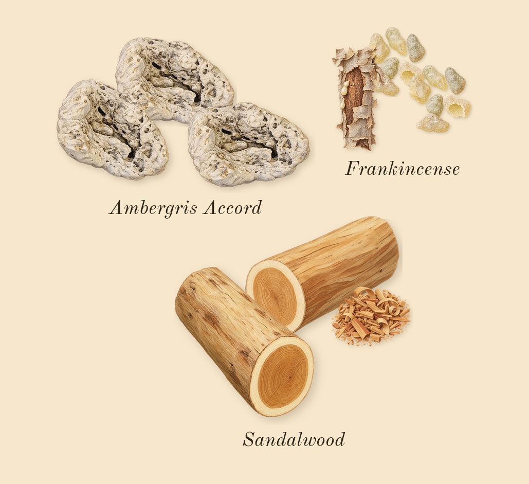 Ashore, dry-down: Ambergris Accord, Frankincense, Sandalwood