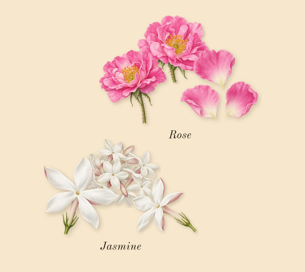 Ashore, heart: Jasmine, Rose