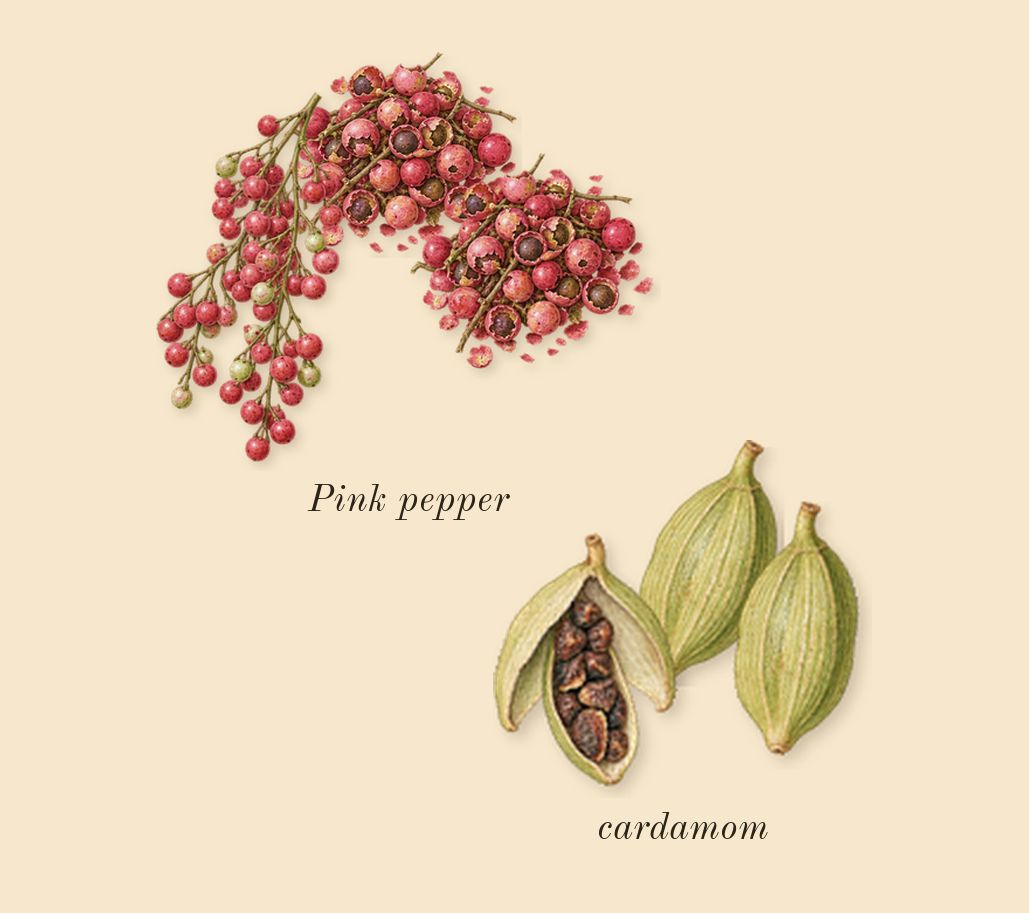 Ashore, top notes: Pink pepper, cardamom