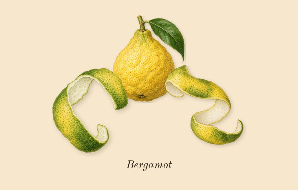 Chrome, top notes: Bergamot