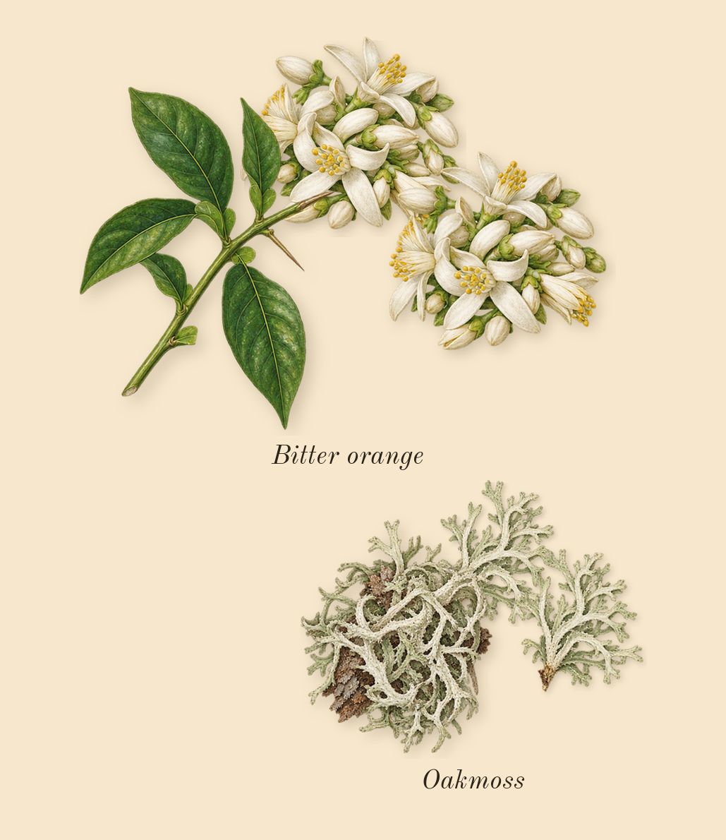 Chrome Legend, heart: Bitter orange, Oakmoss