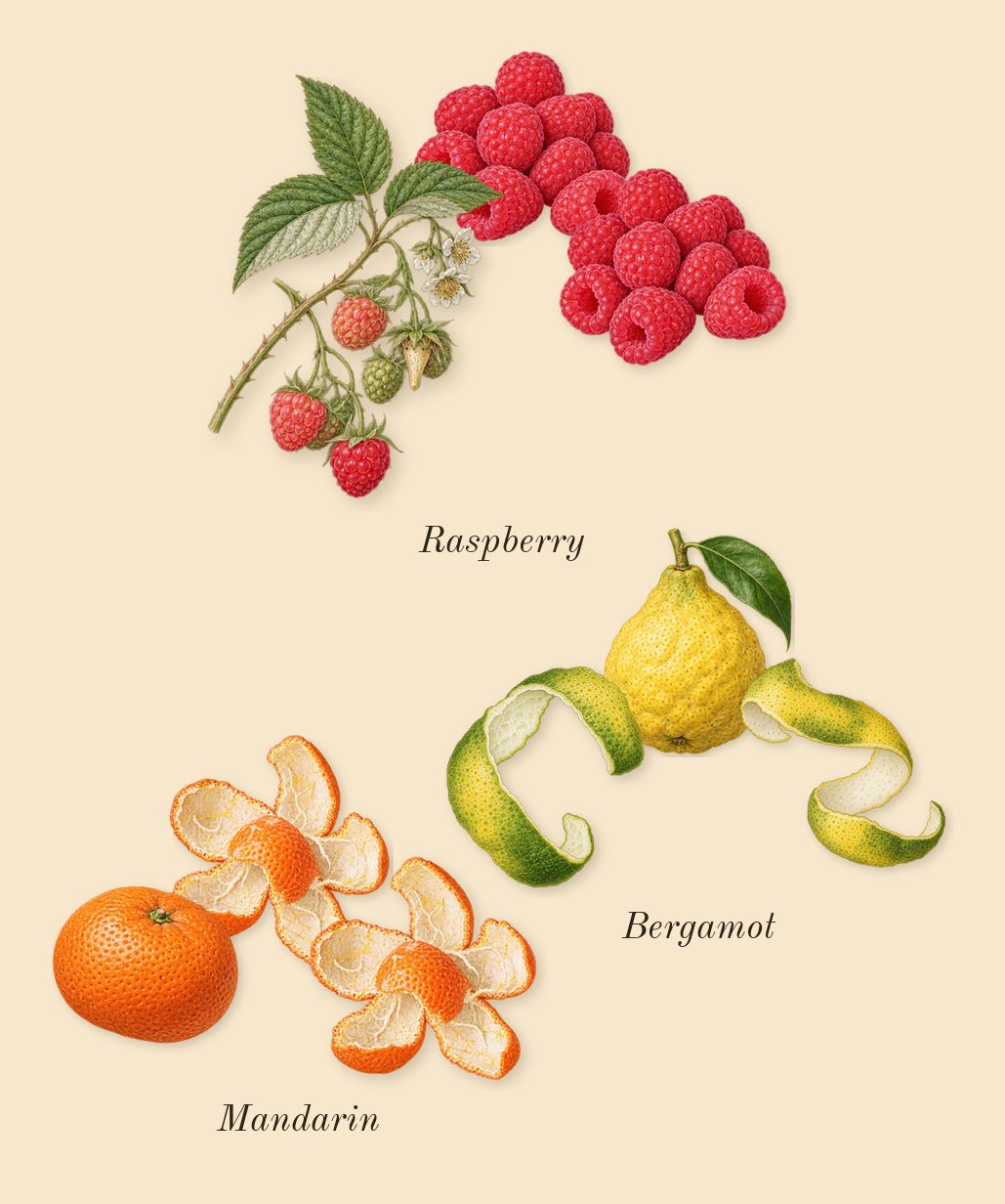 Forever Wanted, top notes: Raspberry, Mandarin, Bergamot