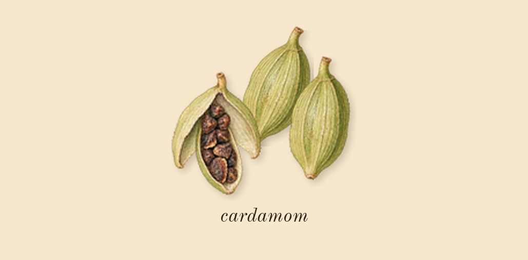 The Most Wanted, top notes: cardamom