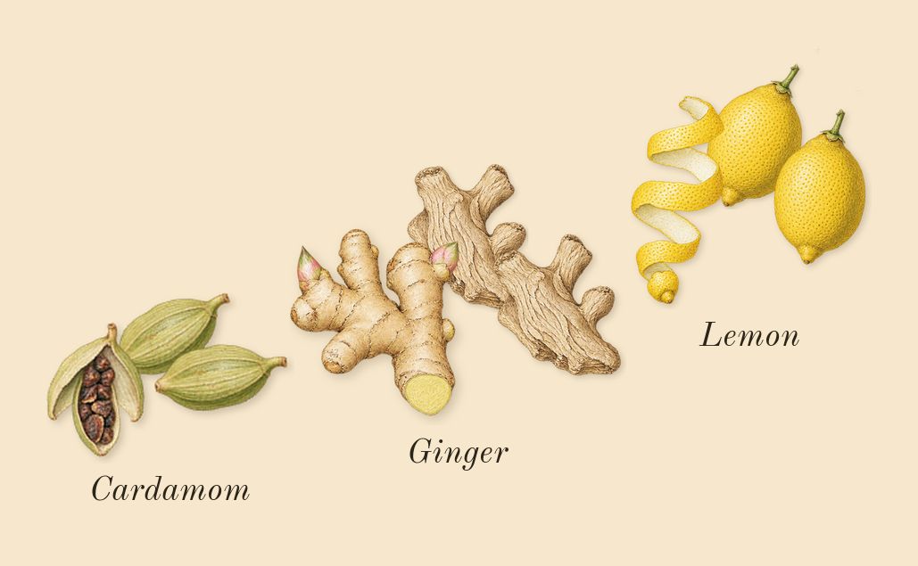 Wanted, top notes: Lemon, Cardamom, Ginger