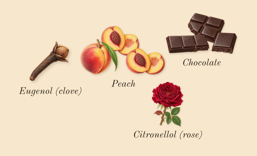 Dahaab Saafi, heart: Chocolate, Peach, Citronellol (rose), Eugenol (clove)