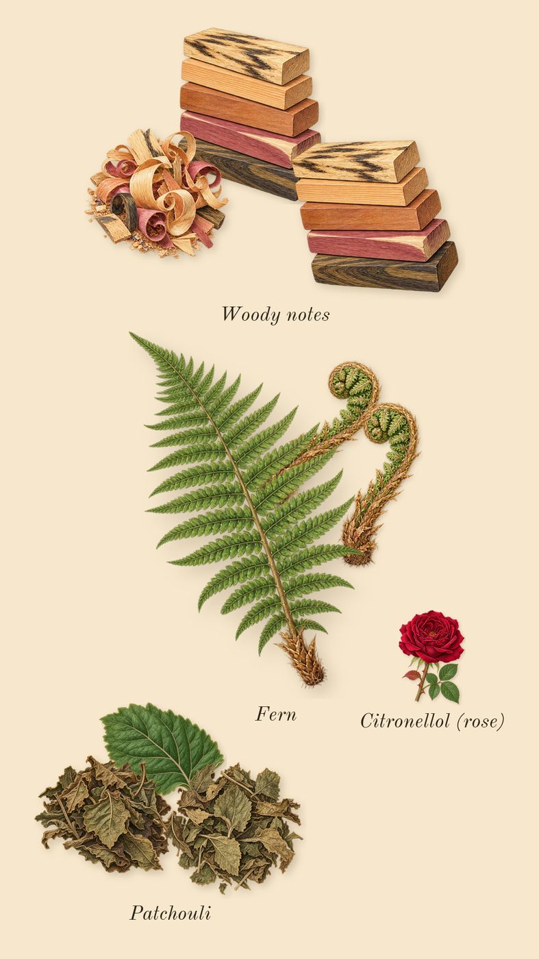 Signature, heart: Woody notes, Patchouli, Fern, Citronellol (rose)
