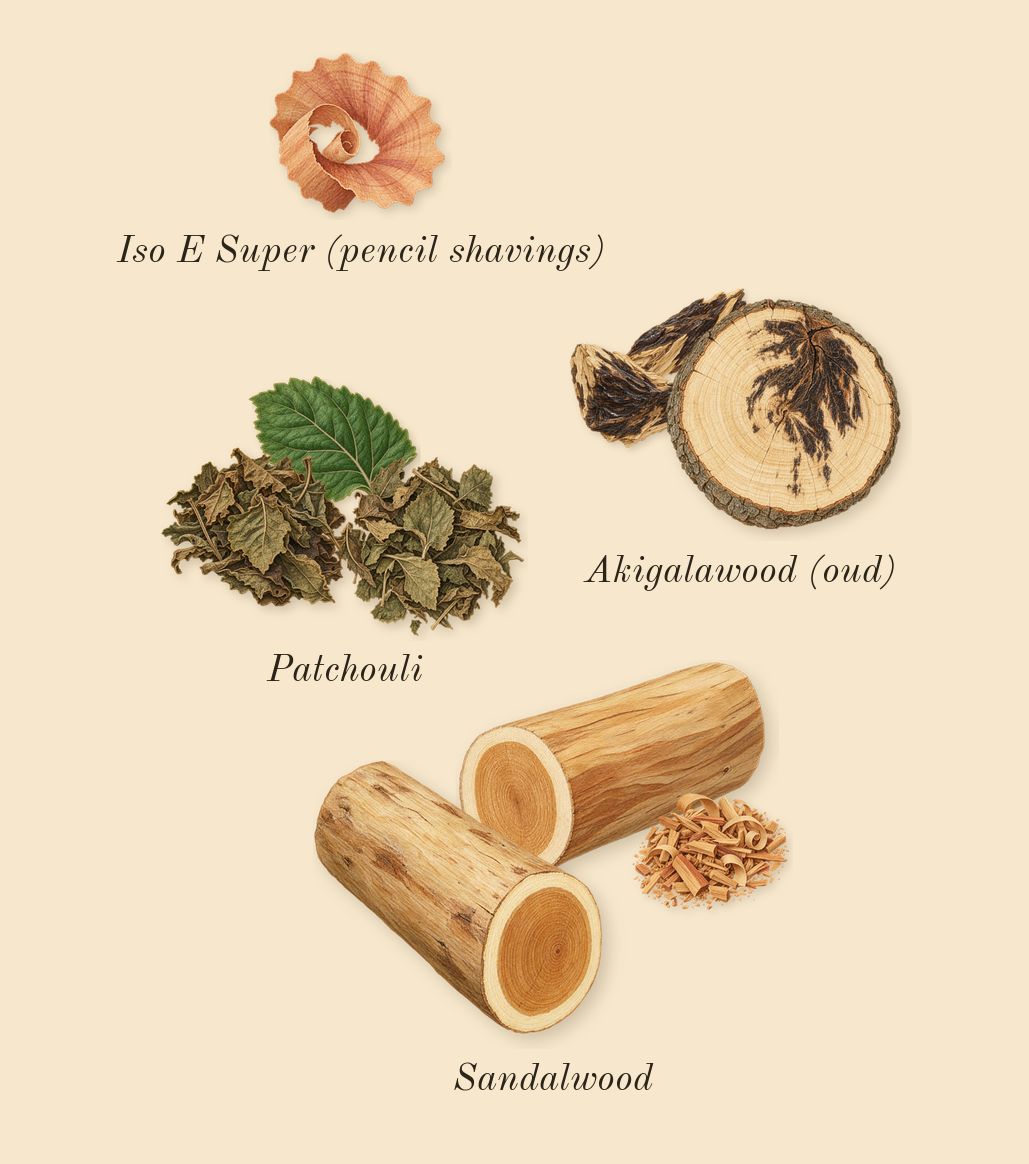Destin de Balmain, dry-down: Sandalwood, Patchouli, Akigalawood (oud), Iso E Super (pencil shavings)