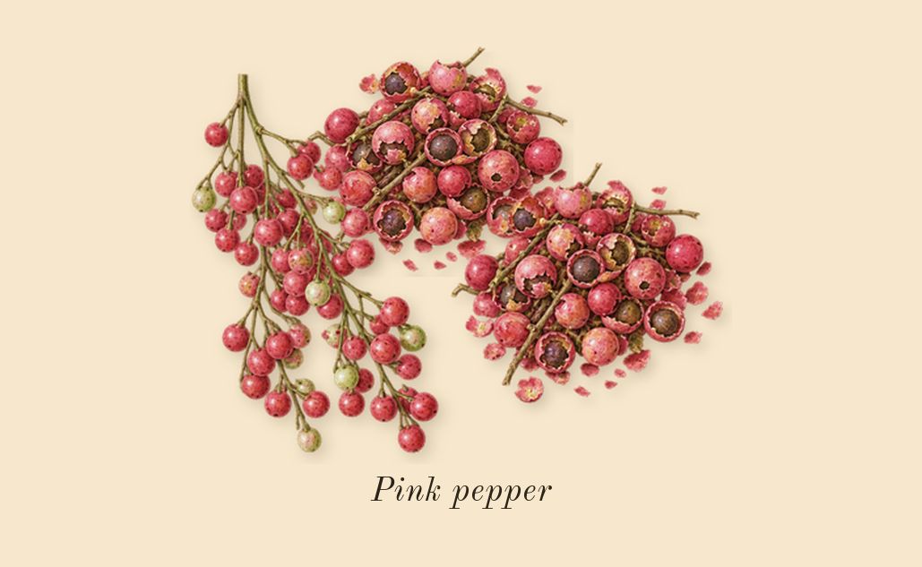 Destin de Balmain, top notes: Pink pepper
