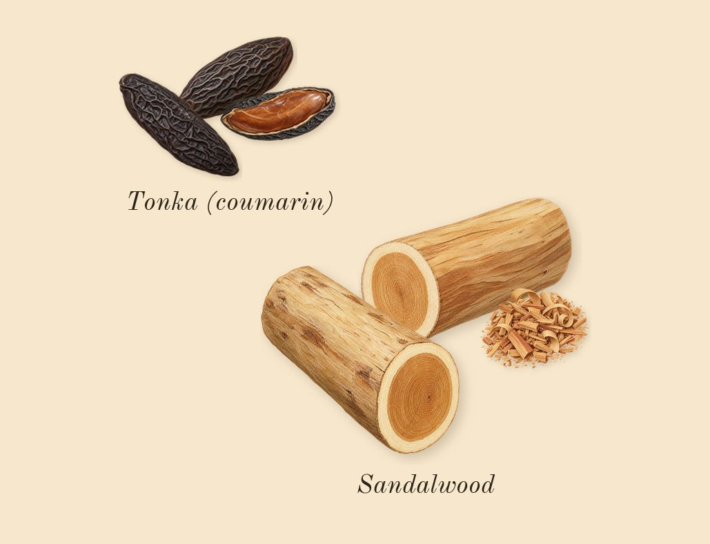 Gris Charnel, dry-down: Sandalwood, Tonka (coumarin)