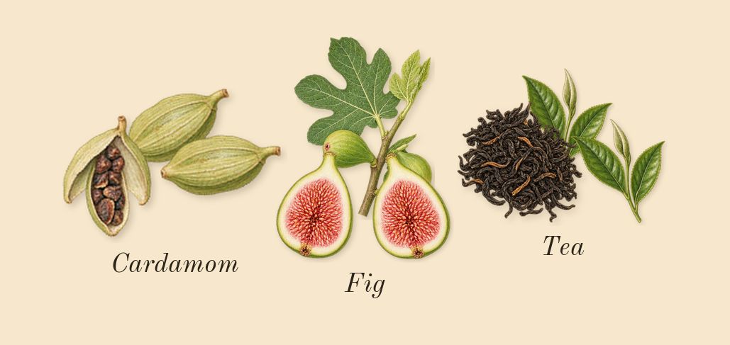 Gris Charnel, top notes: Fig, Tea, Cardamom