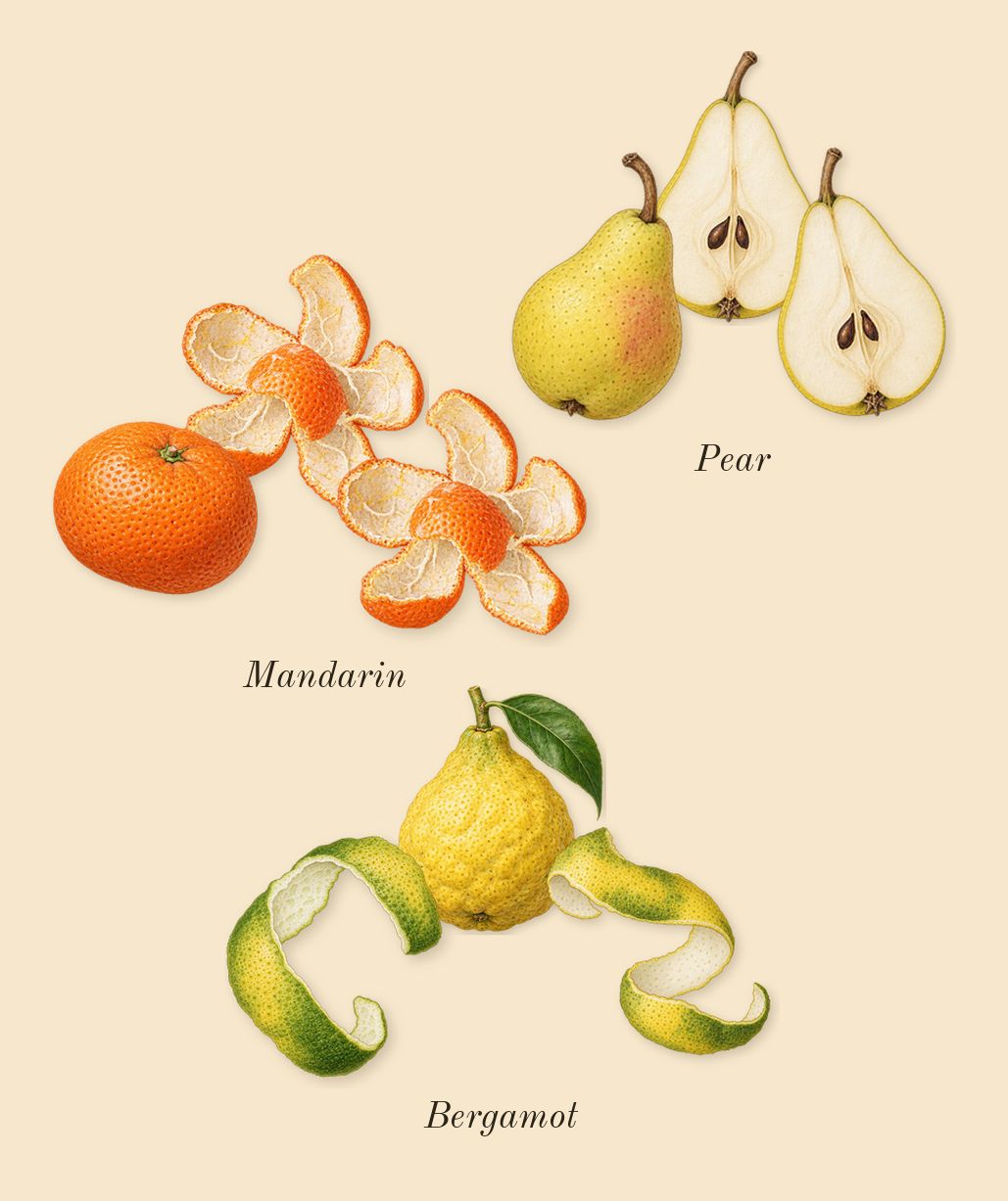 Impadia, top notes: Mandarin, Bergamot, Pear