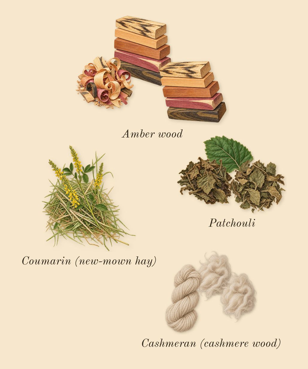 Pas ce Soir, dry-down: Cashmeran (cashmere wood), Patchouli, Amber wood, Coumarin (new-mown hay)