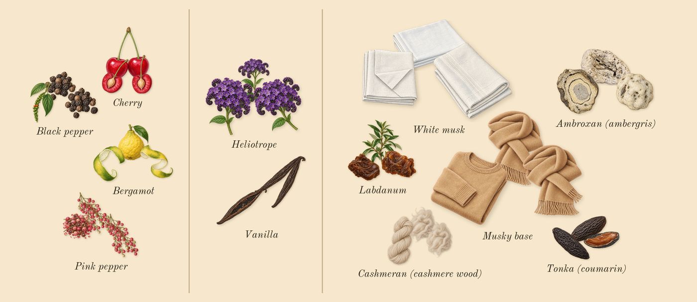 Rouge Smoking’s scent picture, a draft: bergamot, cherry, pink pepper, vanilla, heliotrope, ambroxan (ambergris) drawn so far; dashed outlines where nothing is drawn yet