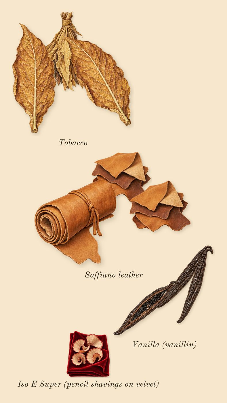 Velvet Tonka, dry-down: Vanilla (vanillin), Tobacco, Saffiano leather, Iso E Super (pencil shavings on velvet)