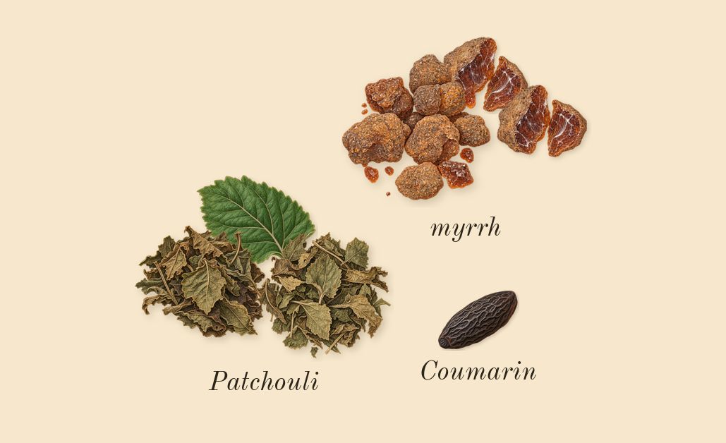 Beach Hut Man, dry-down: Patchouli, myrrh, Coumarin