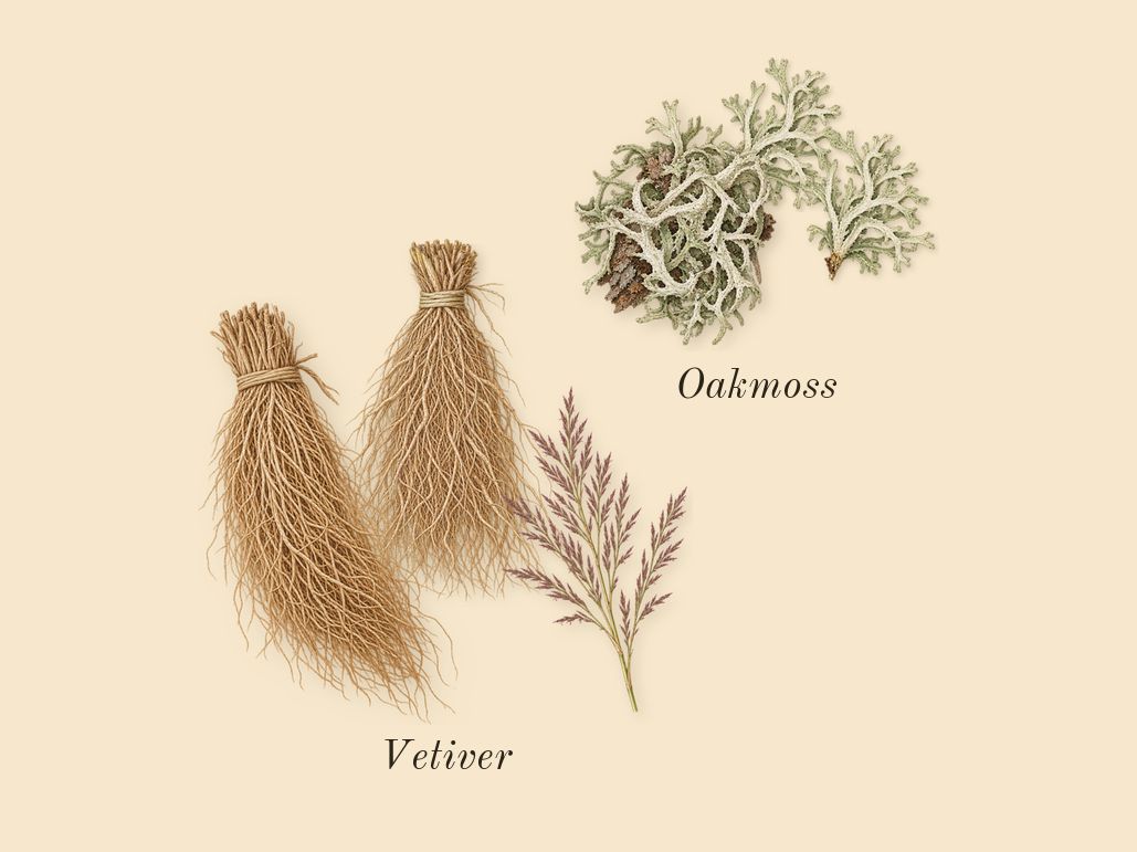 Beach Hut Man, heart: Vetiver, Oakmoss