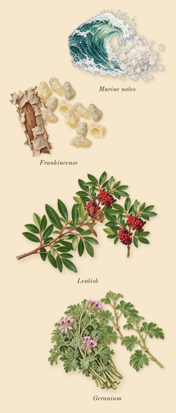 Cape Wrath, heart: Frankincense, Lentisk, Geranium, Marine notes