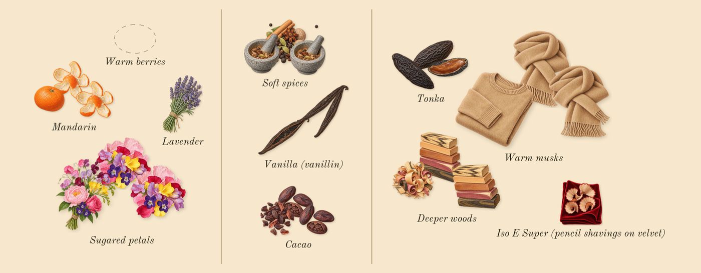 Eilish Intense’s scent picture, a draft: sugared petals, mandarin, vanilla (vanillin), soft spices, cacao, deeper woods drawn so far; dashed outlines where nothing is drawn yet