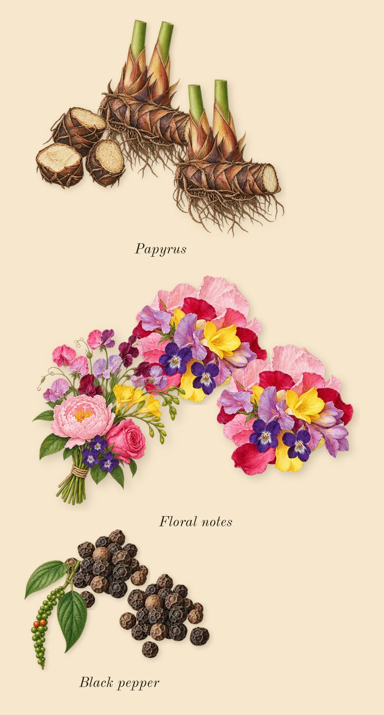 Eilish No. 2, heart: Papyrus, Black pepper, Floral notes