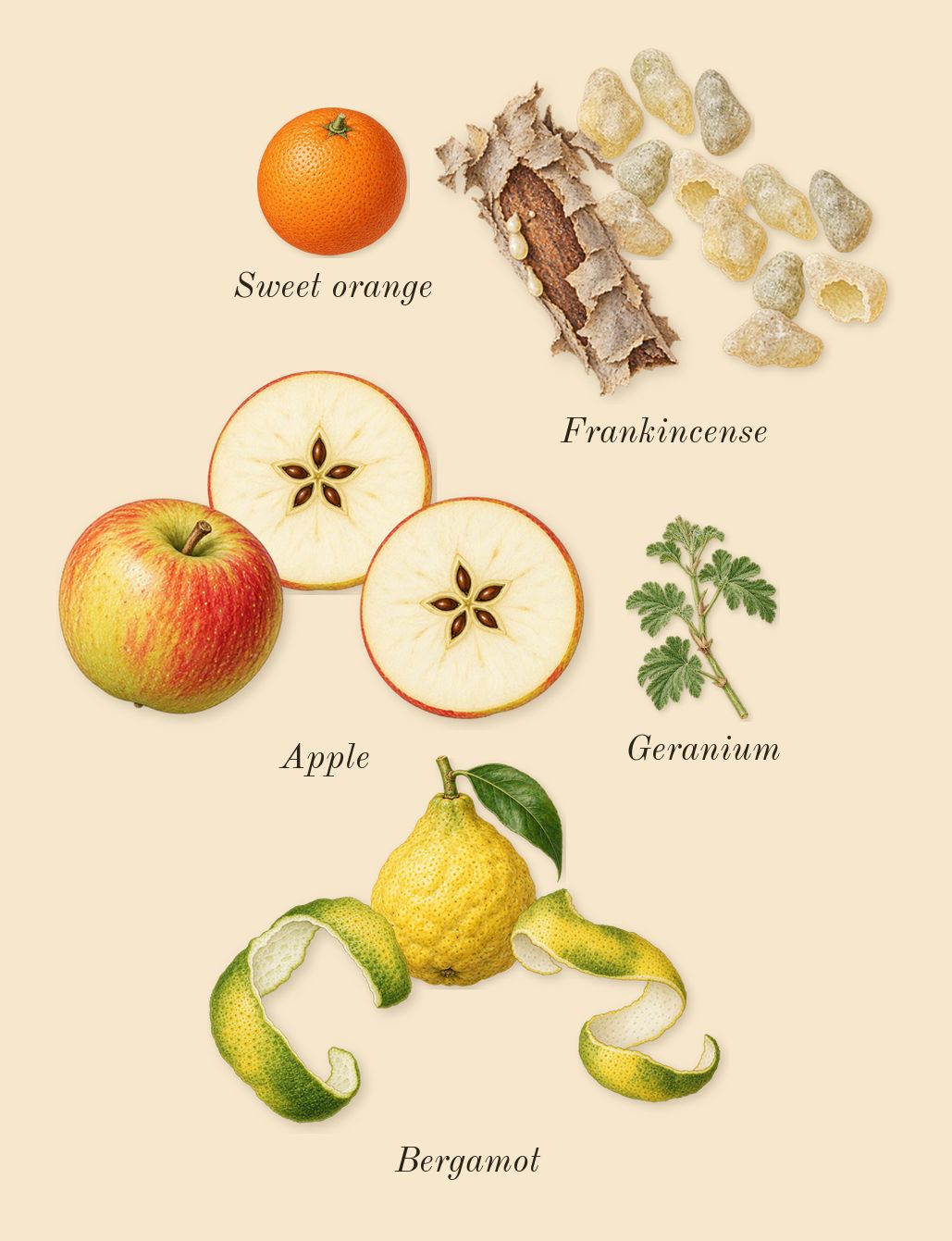 Eilish No. 2, top notes: Bergamot, Apple, Frankincense, Sweet orange, Geranium