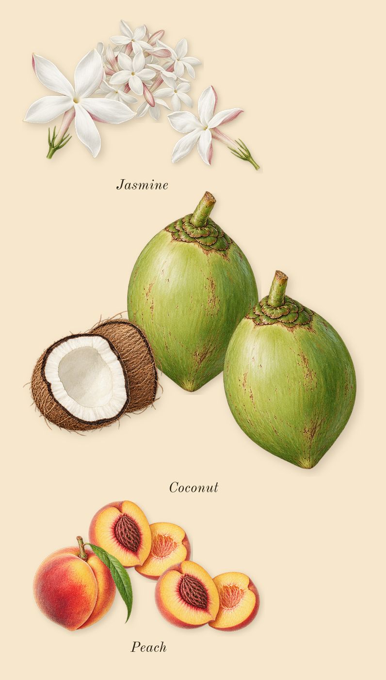 Your Turn, heart: Peach, Jasmine, Coconut