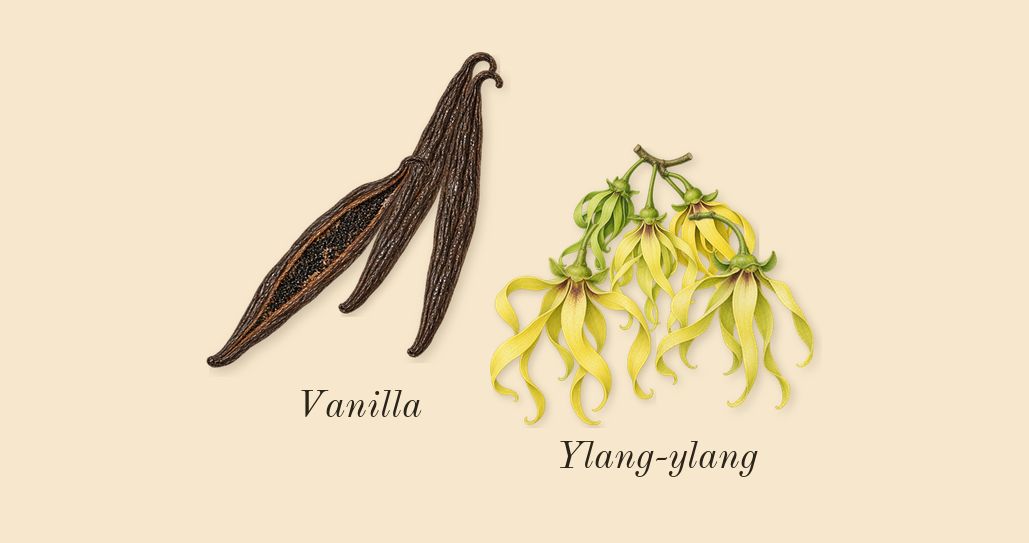 Blossom Love, heart: Ylang-ylang, Vanilla