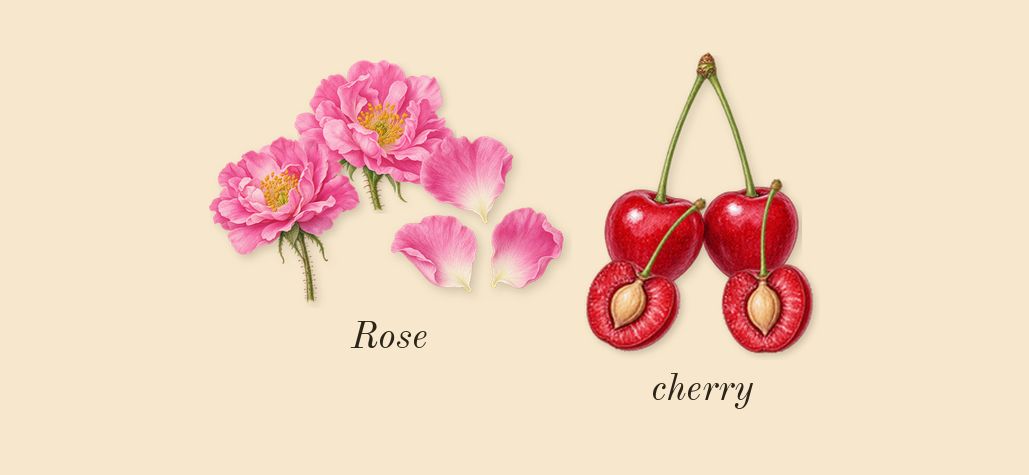 Blossom Love, top notes: cherry, Rose