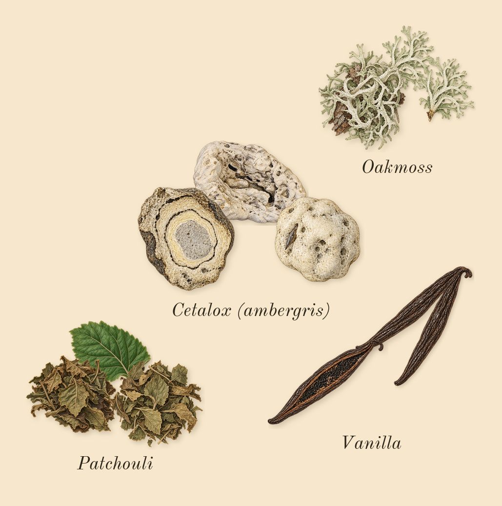 Greenwich Village, dry-down: Patchouli, Cetalox (ambergris), Vanilla, Oakmoss