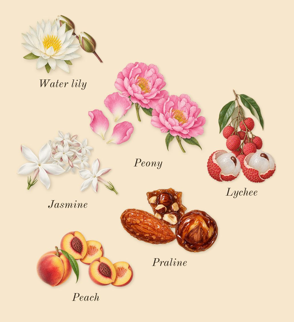 Greenwich Village, heart: Lychee, Peony, Water lily, Jasmine, Peach, Praline