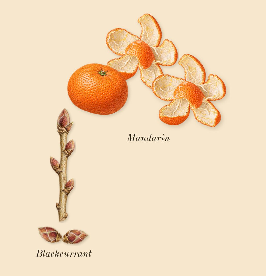 Greenwich Village, top notes: Blackcurrant, Mandarin