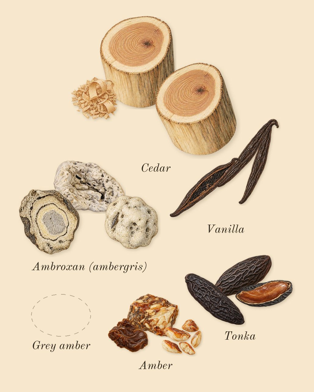 Lafayette Street, dry-down: Ambroxan (ambergris), Vanilla, Tonka, Cedar, Grey amber, Amber