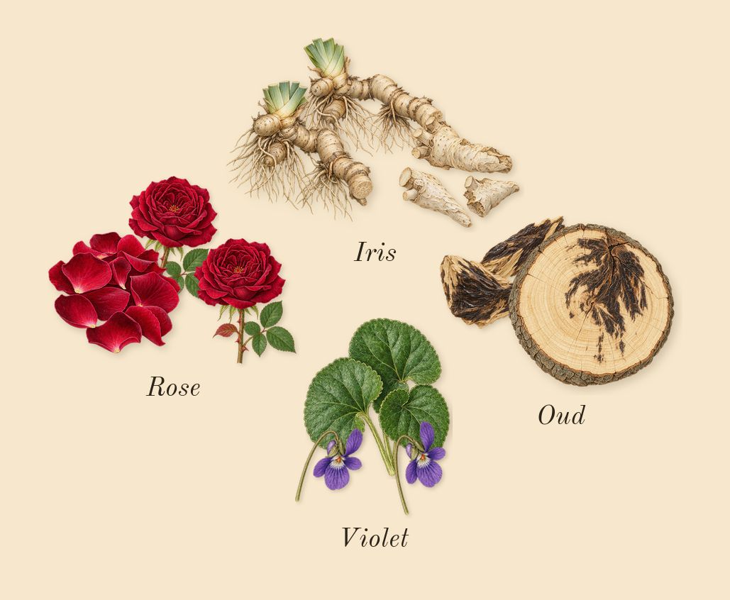 NoMad, heart: Violet, Oud, Iris, Rose