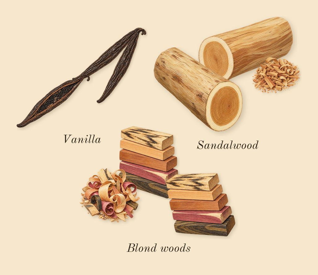 Curious, dry-down: Vanilla, Sandalwood, Blond woods