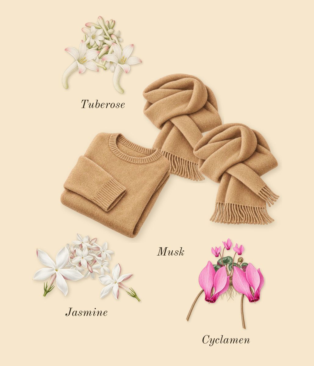 Curious, heart: Tuberose, Jasmine, Cyclamen, Musk