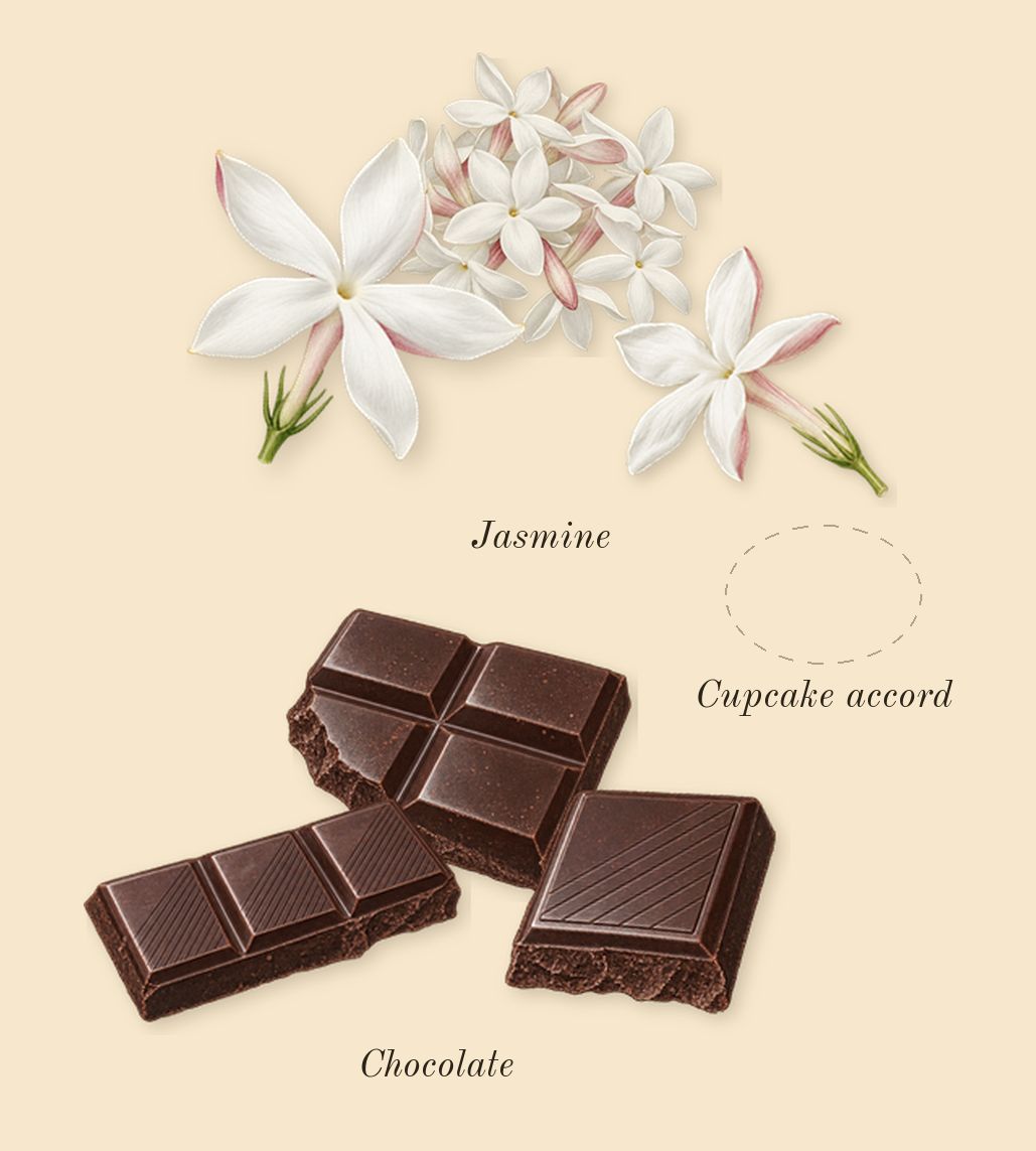 Fantasy, heart: Chocolate, Cupcake accord, Jasmine