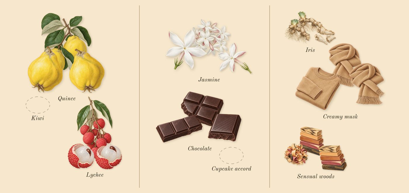 Fantasy’s scent picture, a draft: lychee, quince, chocolate, jasmine, sensual woods, creamy musk drawn so far; dashed outlines where nothing is drawn yet