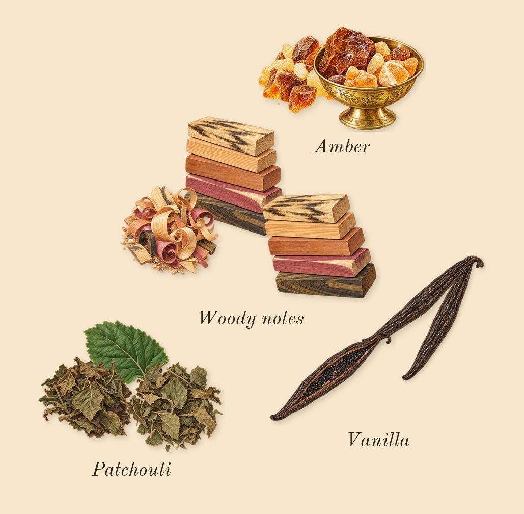 Extra Pulse, dry-down: Vanilla, Amber, Woody notes, Patchouli
