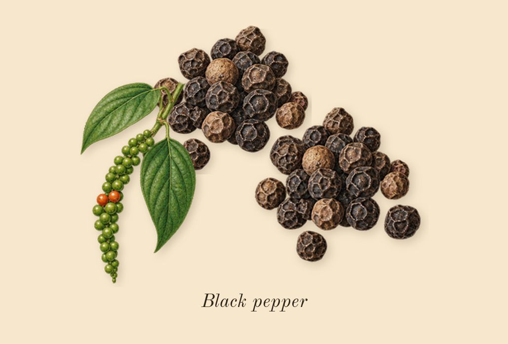Extra Pulse, top notes: Black pepper