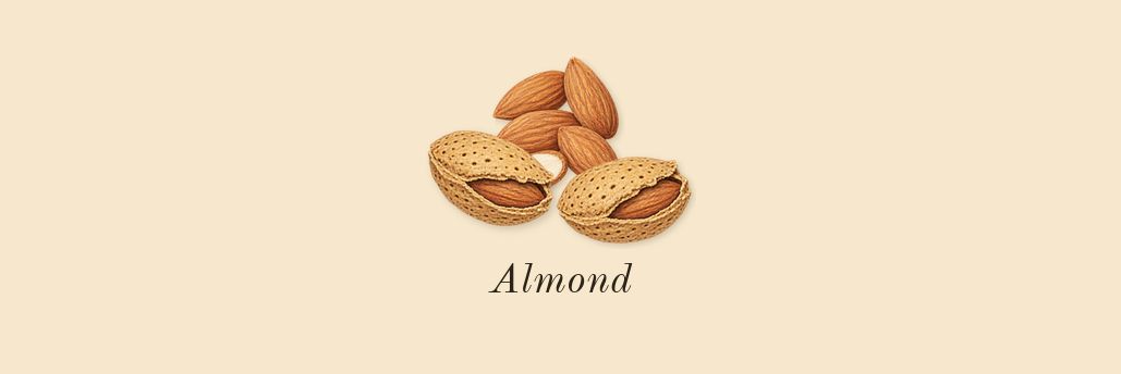 Brit, top notes: Almond