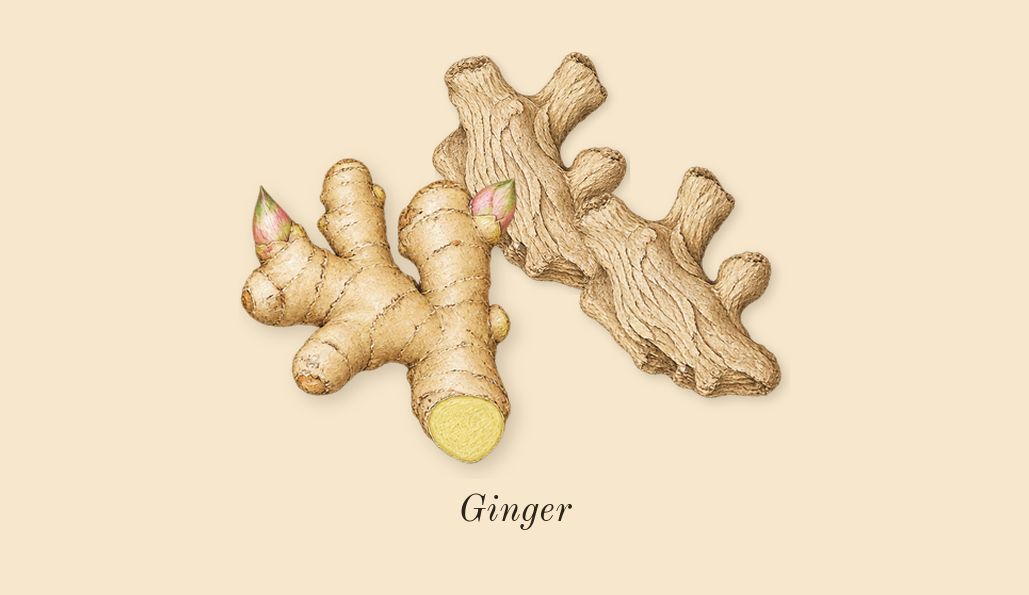 Brit for Him, top notes: Ginger