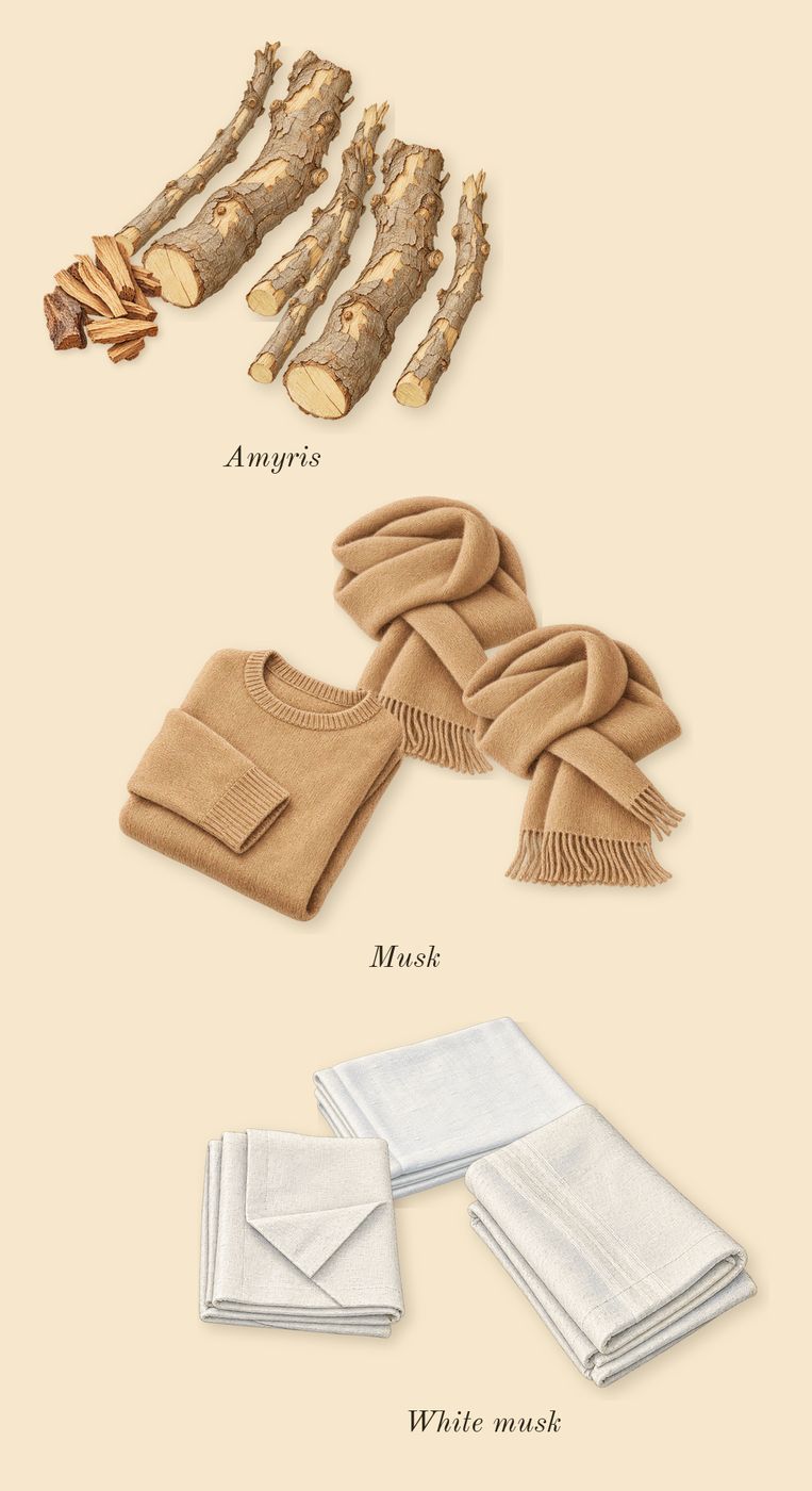 Brit Sheer, dry-down: Musk, White musk, Amyris