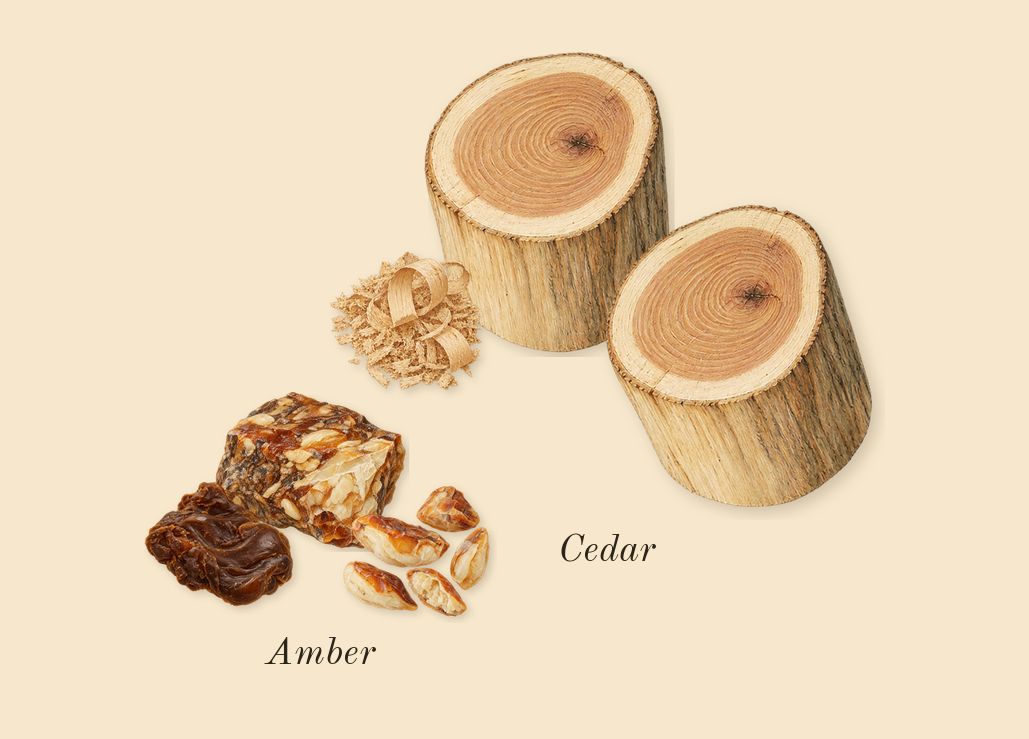 for Men, dry-down: Amber, Cedar