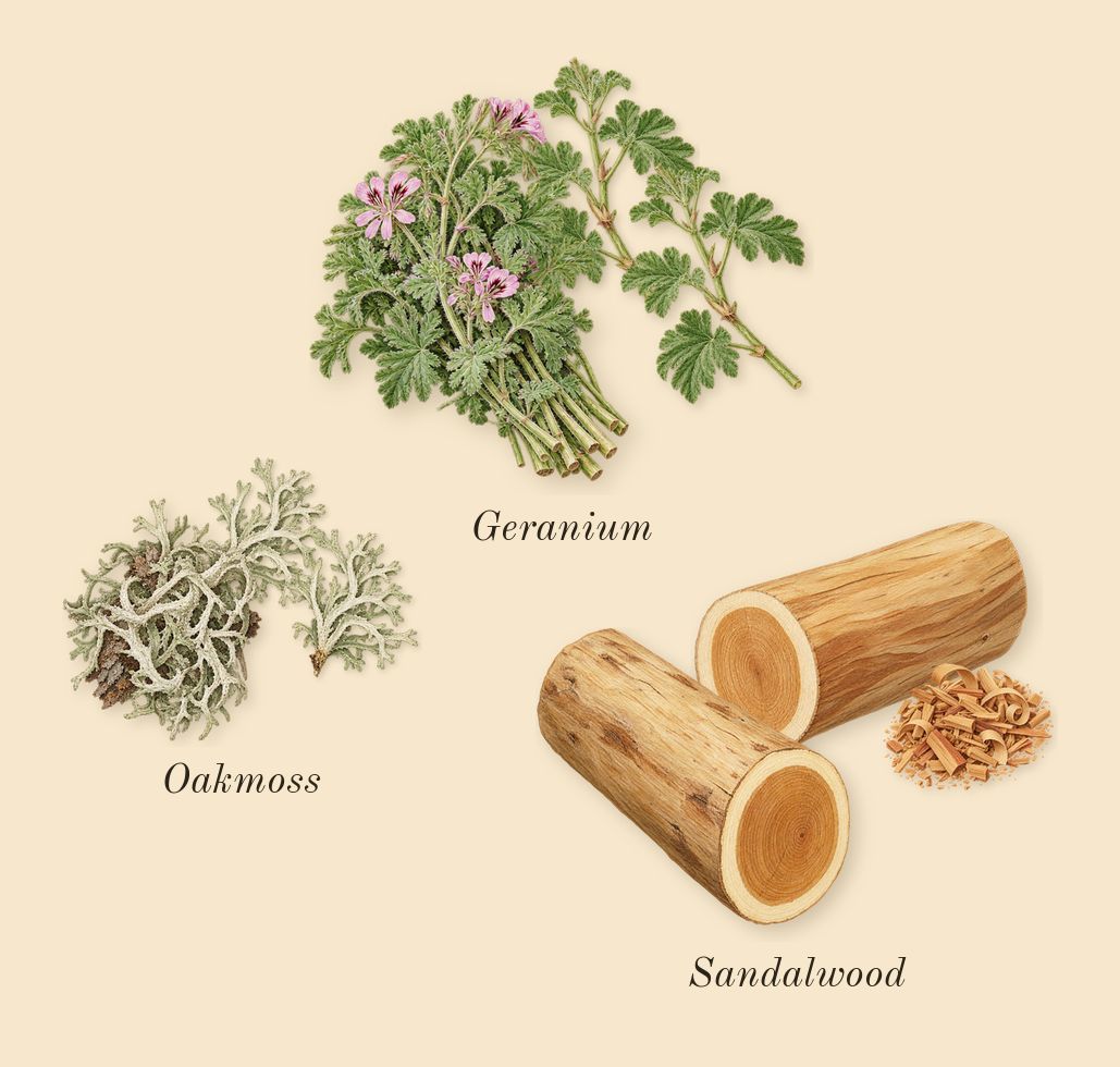 for Men, heart: Oakmoss, Geranium, Sandalwood