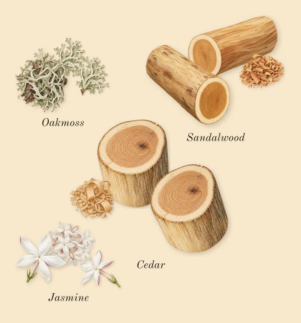 for Women, heart: Cedar, Jasmine, Oakmoss, Sandalwood