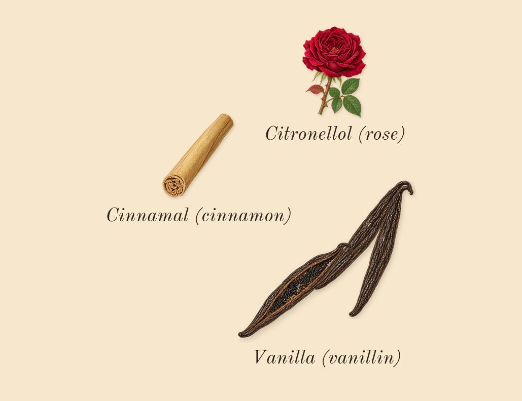 Goddess Amber Vanilla Intense, heart: Vanilla (vanillin), Citronellol (rose), Cinnamal (cinnamon)