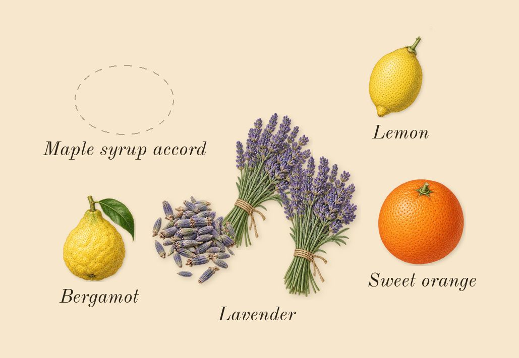 Goddess Amber Vanilla Intense, top notes: Lavender, Maple syrup accord, Bergamot, Sweet orange, Lemon